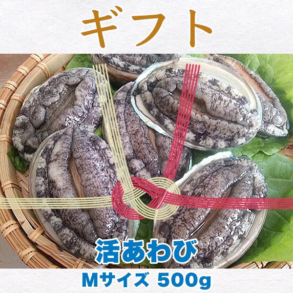 生きているから肝までお刺身品質 活あわび Mサイズ ギフト500g