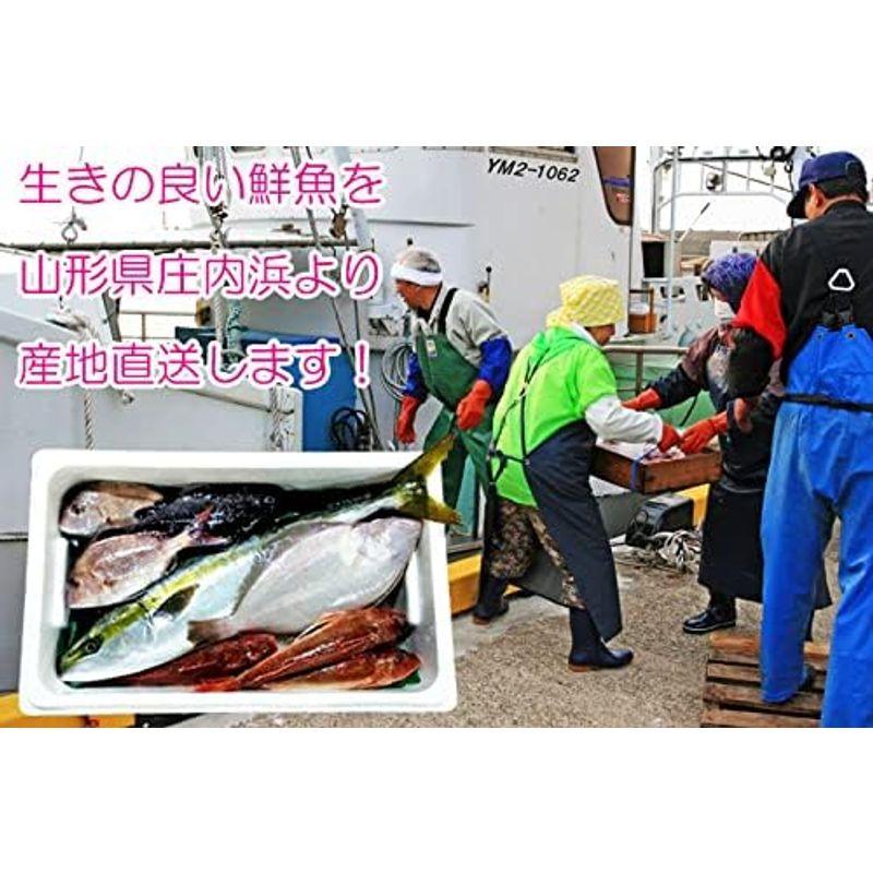 鮮魚セット A 母の日 詰め合わせ 直送 ギフト ギフトセット 山形県庄内産 魚 さかな 食の都庄内