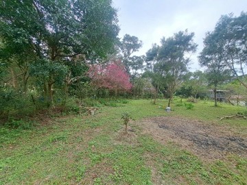 苗栗-三灣   藍寶石農地｜苗栗縣三灣鄉頂寮