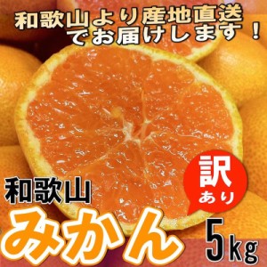 みかん ミカン和歌山県産 訳あり みかん ミカン  5kg 10月中旬以降より入荷あり次第ご注文順に発送