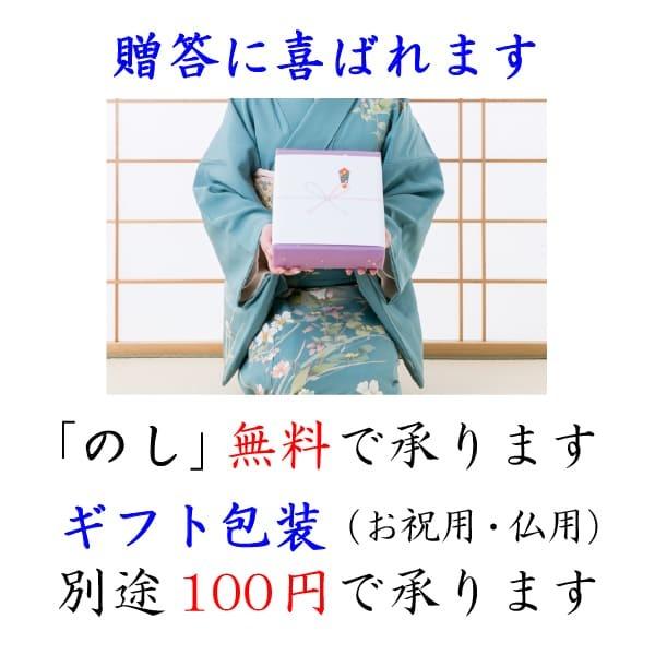 新米入荷 龍の瞳 5kg 令和5年産米 岐阜県産 白米  送料無料 一部地域除く