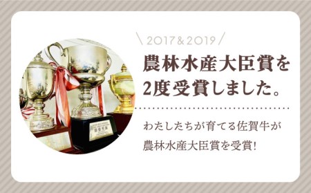 おふたりさま向け 佐賀牛 普段使いセットA農林水産大臣賞 ロース 赤身 角切り 切り落とし[HBH033]