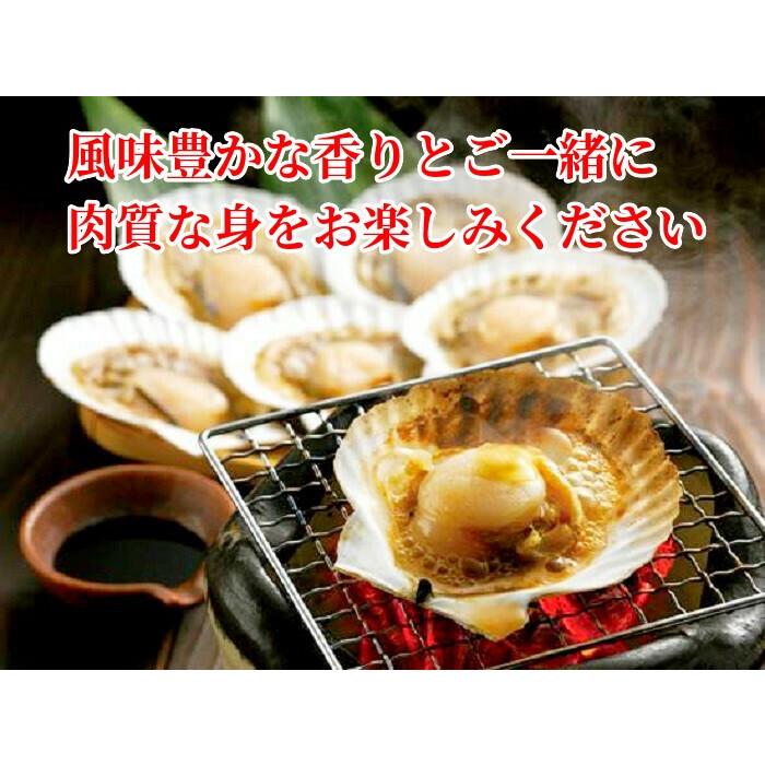 ホタテ 殻付き ほたて貝 片貝 計30枚 北海道産 BBQ 網焼き 冷凍 加熱用 お取り寄せ 帆立