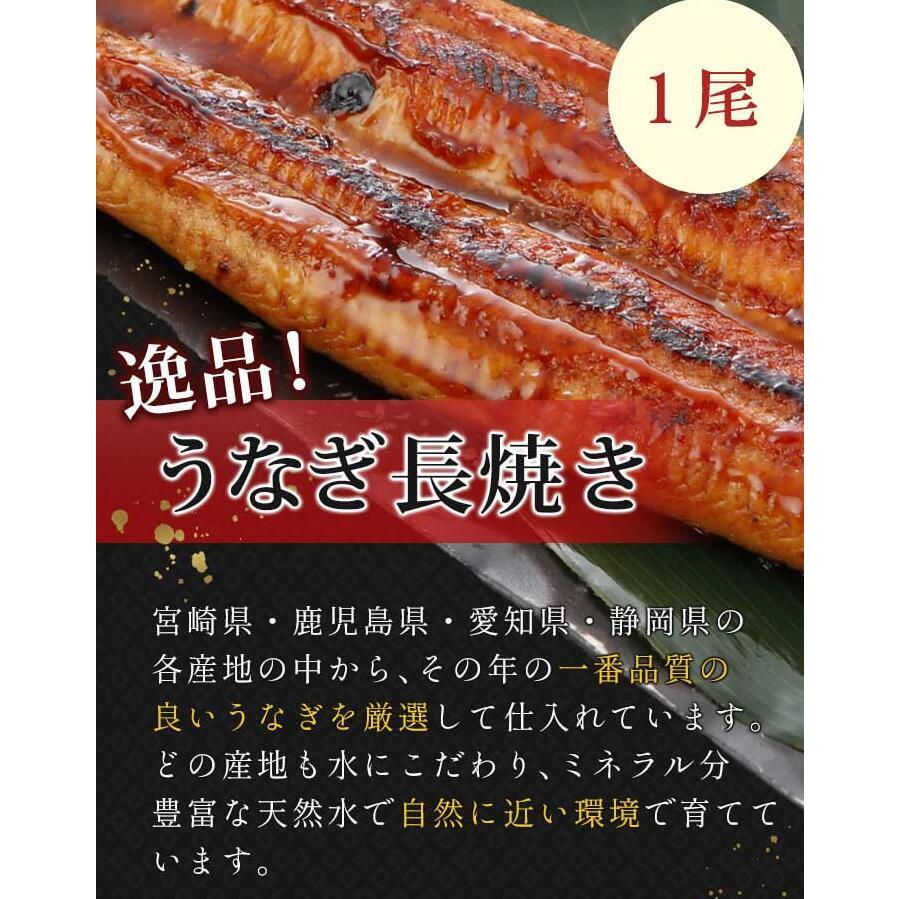 うなぎ長焼き１尾 お歳暮 御歳暮 内祝い ギフト ウナギ 鰻 国産 蒲焼 土用の丑の日 お取り寄せグルメ 和食 惣菜 おかず 海鮮 お祝い お返し 誕生日プレゼント