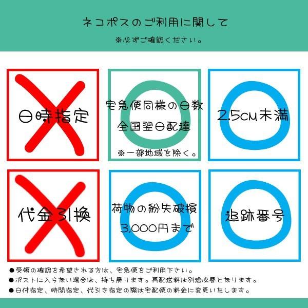 新幹線 折りたたみ 定規 30cm 新学期 ステーショナリー 文房具 鉄道 電車 グッズ 立誠社 ネコポス可