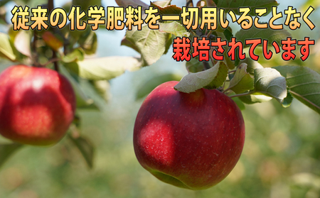 1月発送 贈答規格 EMサンふじ約3kg 糖度13度以上