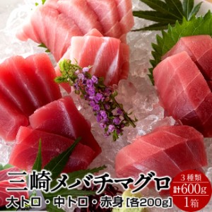 まぐろ 天然 メバチマグロ 三大部位 詰合せ 600g［大トロ1、中トロ1、赤身1］鮪セット 刺身用 三浦三崎 マグロ 詰め合わせ 通販［秋の味