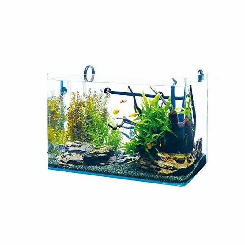 テトラ Tetra ラウンド オールグラスアクアリウム バリューエックスパワーフィルターセット Ra 60ｖx 水槽容量 65l 水槽 アクアリウム 熱帯魚 メダカ 金魚 通販 Lineポイント最大0 5 Get Lineショッピング