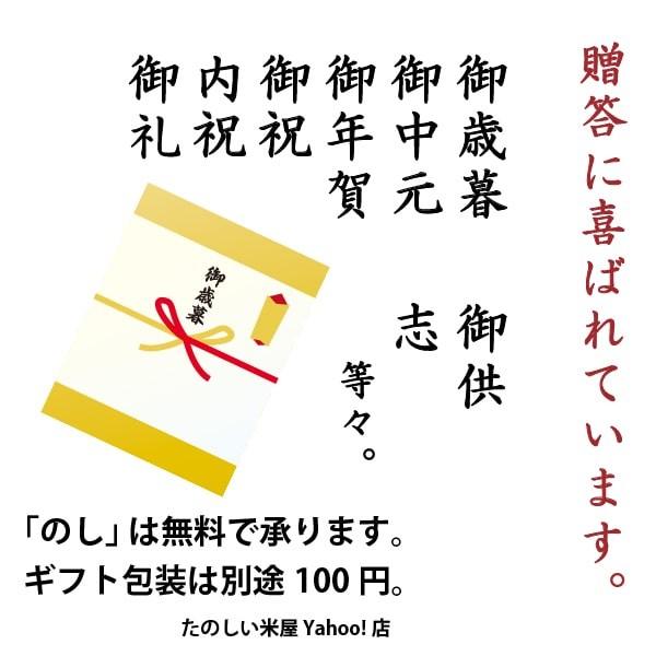 新米 龍の瞳 3kg 岐阜県産 令和5年産米 白米 ご注文後に精米・発送 送料無料（一部地域加算送料）