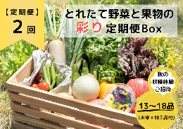 ★個数限定★とれたて野菜と果物の彩り定期便Box 13品目から18品目の豪華セット（収穫体験付き）