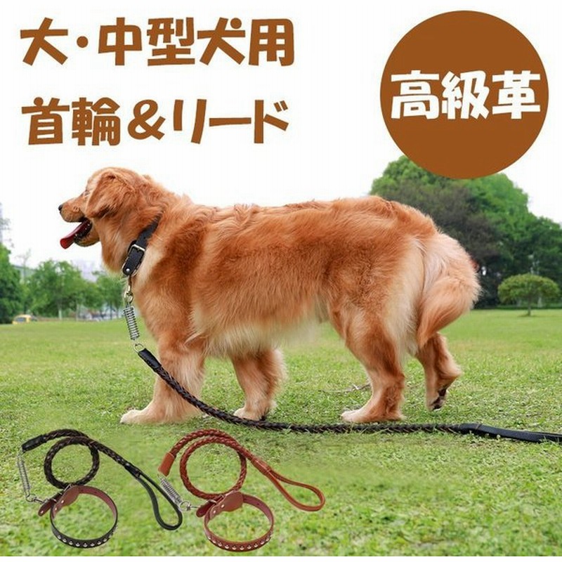 犬用 首輪 リード 大型犬 中型犬 ペットリード 革 レザー メタル スプリング付き 衝撃緩和 錆に強い 丈夫 頑丈 ちょっぴり かっこいい 通販 Lineポイント最大0 5 Get Lineショッピング