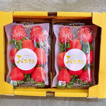 【帕查嬤嬤】🇯🇵日本 高知縣 大妃美草莓🍓｜日本草莓禮盒