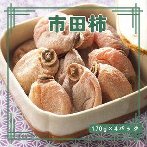 ふるさと納税 2023年12月末以降順次発送　市田柿　170g×4パック 長野県高森町