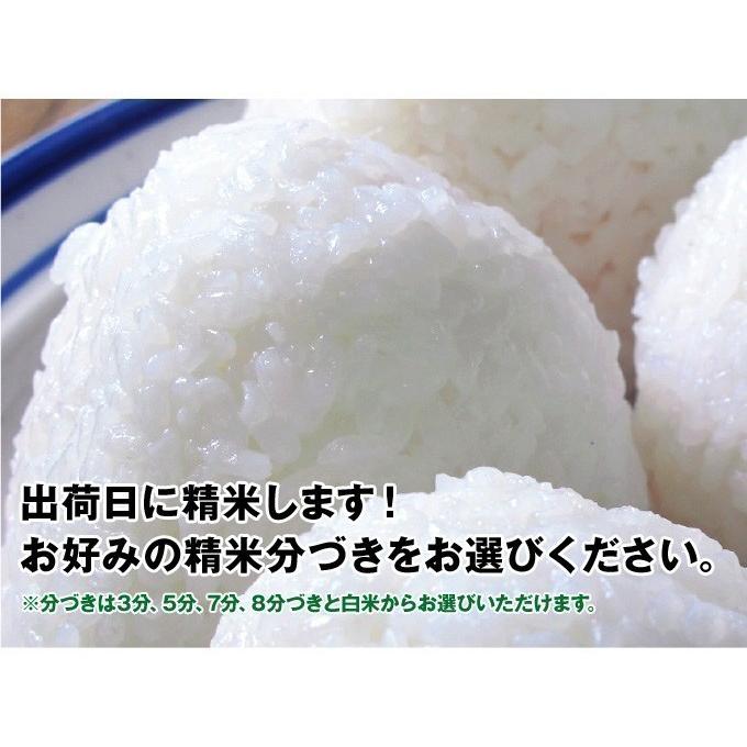 銀の朏 ぎんのみかづき お米2ｋｇ 5年産 特別栽培米 化学肥料不使用 飛騨下呂産