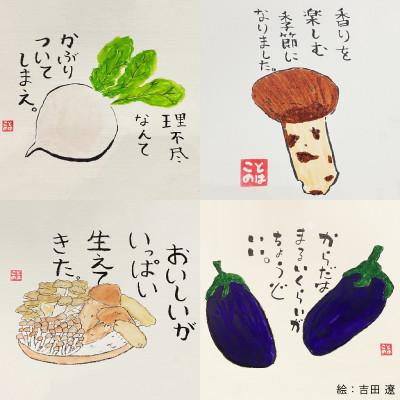 ふるさと納税 宮古市 こだわり厳選!旬の野菜セット