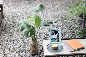 水培植栽│龜背芋_室內植物 藤編玻璃花器 辦公室盆栽  植栽 盆栽