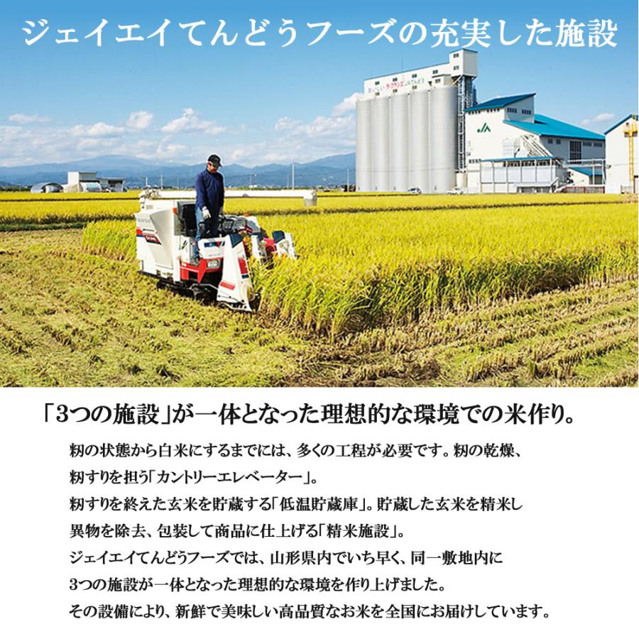 令和五年産 雪若丸 5kg 九州・沖縄送料別 山形産 山形 JAてんどう 産直 産地直送 お米 米 精白米 ブランド米 特A あっさり 上品 新食感 令和5年 天童 お取り寄せ