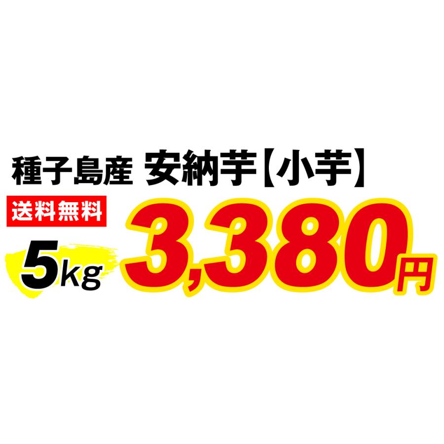 さつまいも 5kg 安納芋・極ちび 種子島産 ご家庭用 送料無料 食品