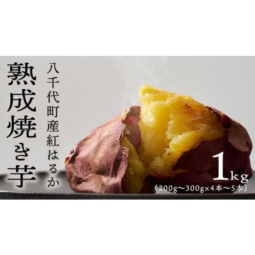 ふるさと納税 茨城県 八千代町 oimo_tokyo 熟成 焼き芋 八千代町産 紅はるか 1kg 4本 〜 5本 冷蔵 冷やし やきいも 食物…