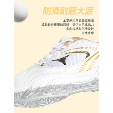 TIBHAR德國挺拔乒乓球鞋男款女2024運動鞋夏季透氣訓練鞋飛躍2.0