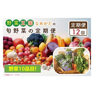 ふるさと納税 行方市 野菜王国なめがたの旬野菜の定期便全12回　CU-130