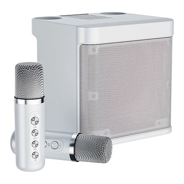 無線麥克風KTV藍芽音響 YS-203 雙麥克風 Type-C充電 10W 藍芽5.0
