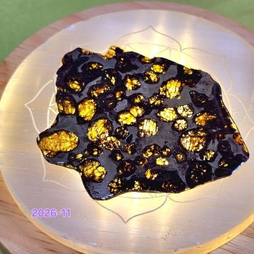 肯亞橄欖隕鐵Sericho Meteorite收藏級覆膜把玩切片2026-11 ~極佳的護身符