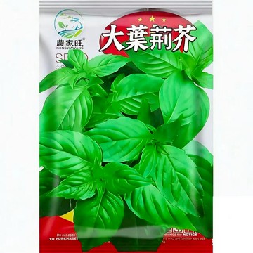 【原廠包裝】大葉荊芥種子（Large Leaf Shiso） 室內外盆栽 耐熱好種  易種好養 家庭盆栽