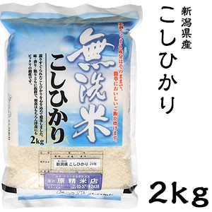 米 日本米 令和4年度産 新潟県産 コシヒカリ BG精米製法 無洗米 2kg