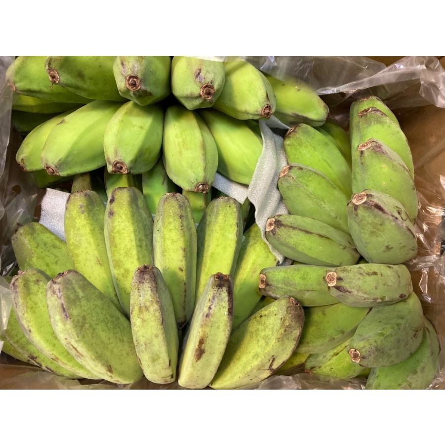 サババナナ SABA BANANA 2kg フィリピン産 調理用バナナ 料理用バナナ 野菜バナナ