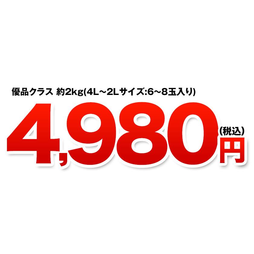 熊本県産 デコポン 優品 約1.8kg前後〜約2kg前後 送料無料 個別光センサー選果 高品質保証 贈答用 ギフト  12月中旬-12月末頃より発送予定