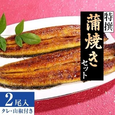 ふるさと納税 土浦市 特撰　蒲焼きセット・二尾入