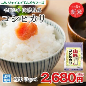 新米 令和5年産 米 お米  山形県産 コシヒカリ 精米 5kg（5kg×1袋） 産地直送 ryk0505