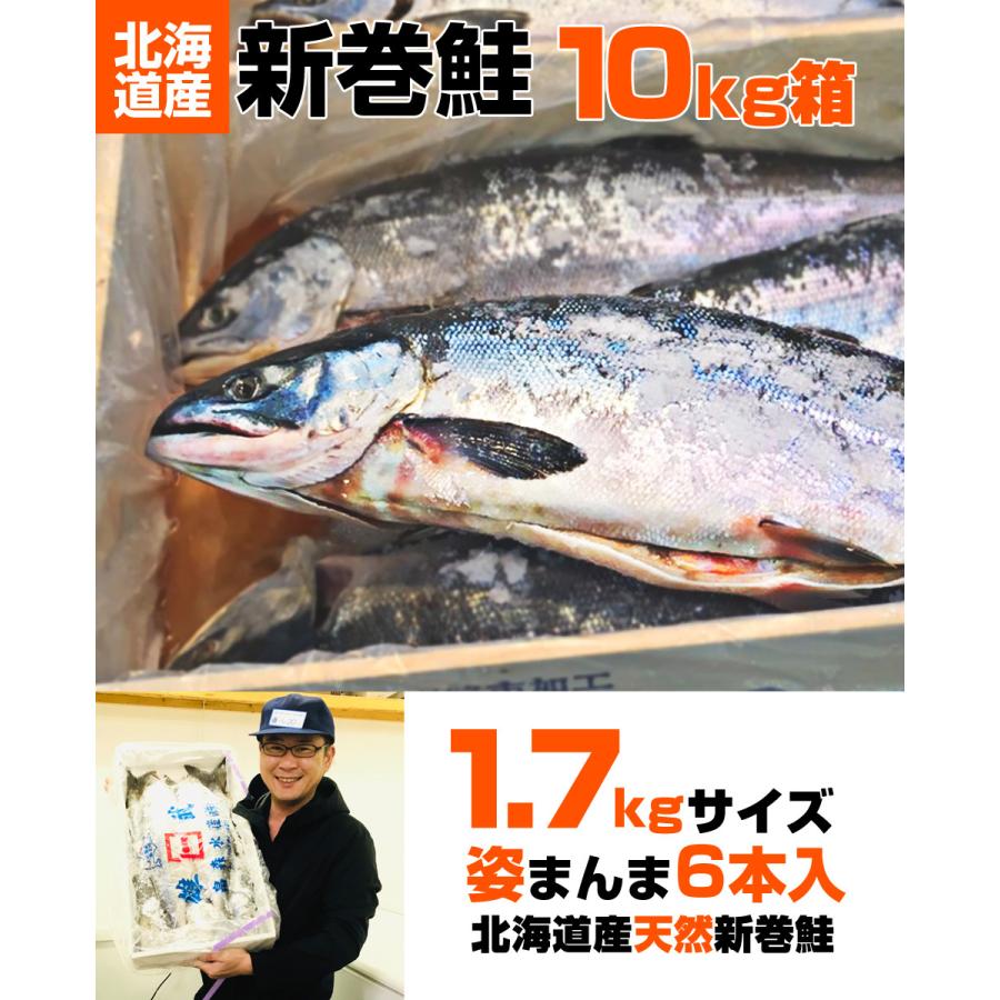 塩漬け 新巻鮭 北海道産 10kg6尾 塩鮭 塩引き鮭 鮭 秋鮭 しゃけ サケ さけ 産地直送 1本 水産仕入れ 年末年始 お正月 お歳暮