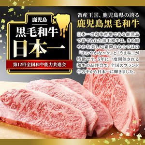 日本一の牛肉！鹿児島県産黒毛和牛ロースステーキ2枚セット(2枚・計約400g) 黒毛和牛 ステーキ 冷凍B-160-01