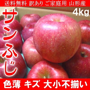 送料無料 訳あり ご家庭用 山形産 サンふじ りんご 色薄 キズ 大小不揃い 4kg ご予約