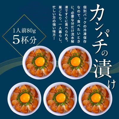 ふるさと納税 芸西村 高知の海鮮丼の素「カンパチの漬け」1食80g×5P