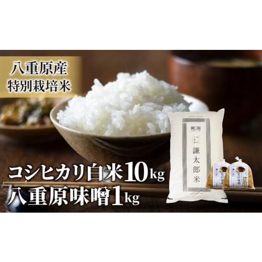 ふるさと納税 長野県 東御市 八重原産特別栽培米（減農薬・減化学肥料栽培）コシヒカリ（白米）１０kgと信州味噌「八重原味噌」１kgのセット