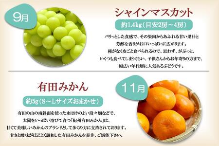  有田川町の旬のフルーツをお届け！