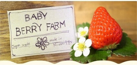 特別賞受賞！ご自宅用いちごBabyBerryFarm　300グラム４パック