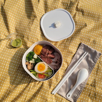 日日便當盒 全配版+簡配版2入組 環保餐盒 分隔便當盒 台灣製