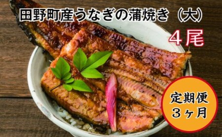 　田野町産うなぎの蒲焼き（大）　４尾　〈定期便：３ヶ月〉　※冷凍※