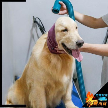 【台灣出貨】狗狗耳罩 貓咪耳罩 美容吹風脖子套 寵物耳塞 安撫情緒 防應激 減噪頭套 寵物專用