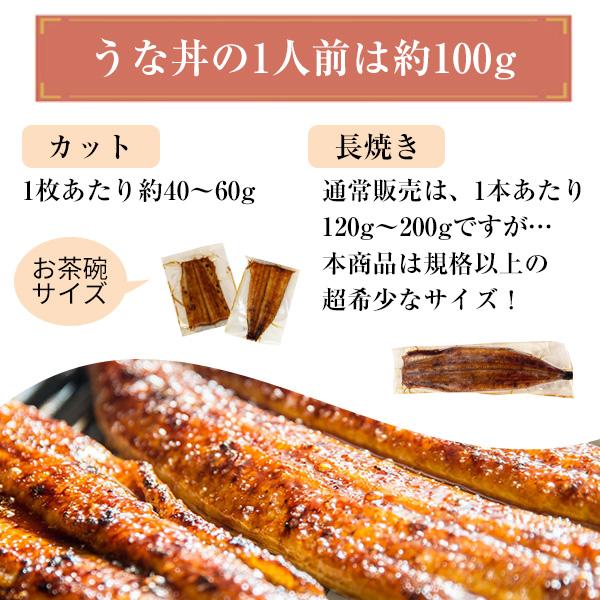 限定400本 超々メガサイズ 国産 うなぎ 蒲焼き 270g×1本 タイムセール ウナギ 鰻