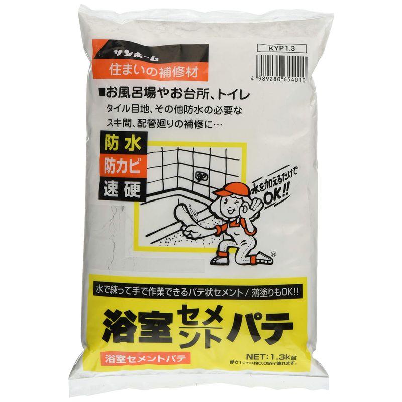 サンホーム工業 超速硬性水中セメント 灰色 1.3Kg BC1.3 - 屋外照明