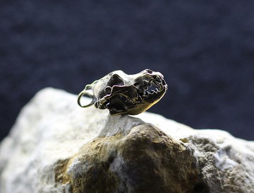 小狼頭骨解剖吊墜。 解剖狼櫓。 金屬狼頭骨