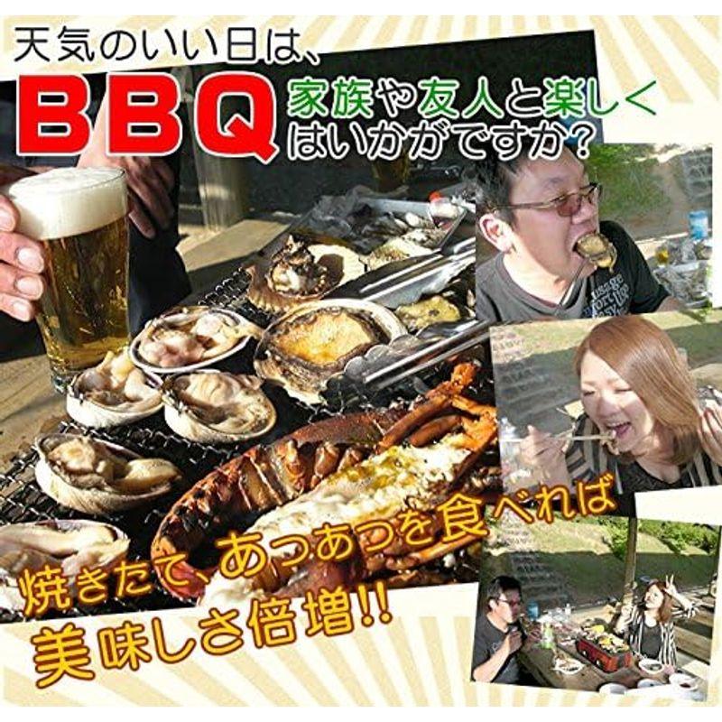 たっぷり貝だけ海鮮BBQセット（サザエ12個大アサリ7個）魚介類