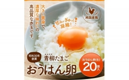 純国産鶏の卵 おうはん卵 20個入り