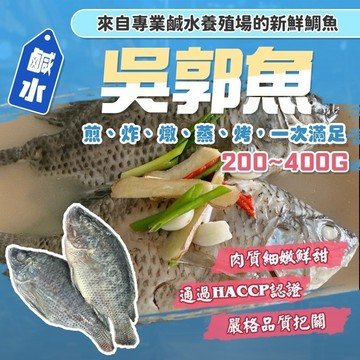 【漁讚】外銷級超鮮嫩！鹹水吳郭魚 黑公 鹹水台灣鯛魚 無土味無腥味 吳郭魚 現殺鯛魚 鯛魚 台灣鯛魚 台灣吳郭魚 黑公魚