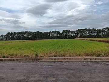 6米路農地近新屋馬場千坪農田｜桃園市新屋區新屋段新屋小段